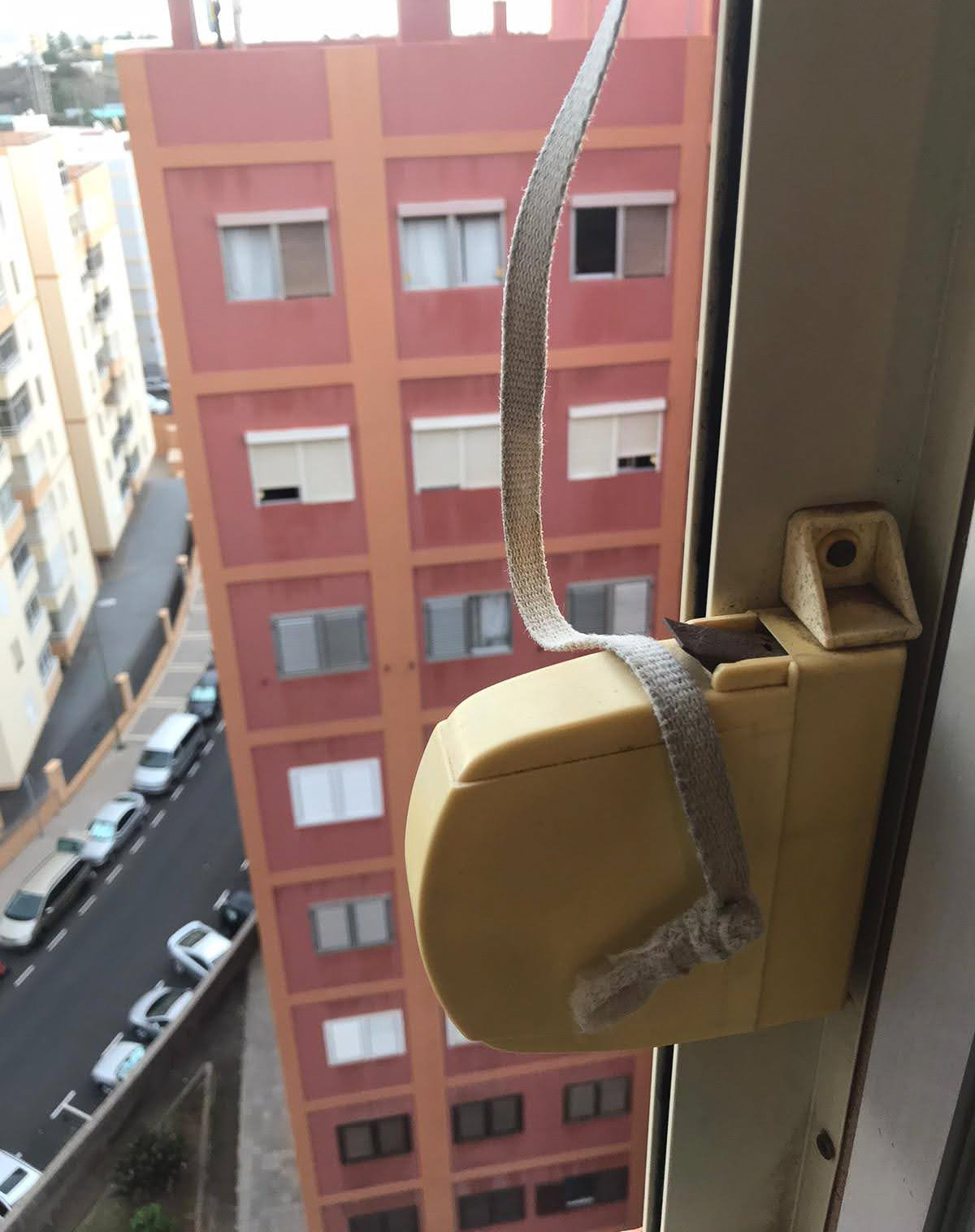 Cambio de cinta y recogedor en Miller Bajo (Las Palmas)