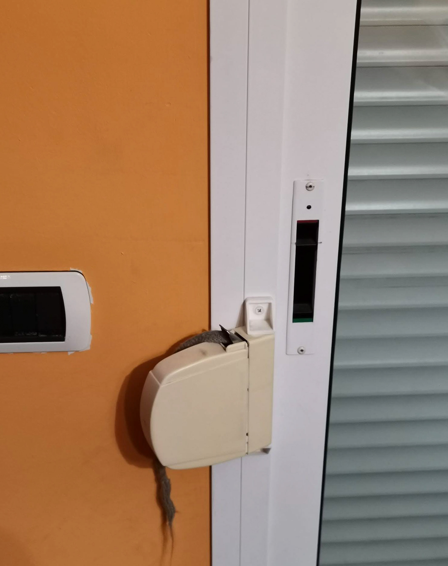 Cambio de recogedor en Almatriche (Las Palmas)